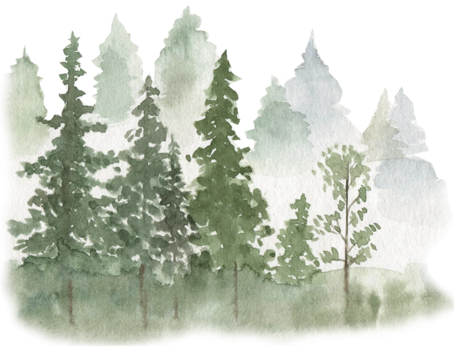 Hutan